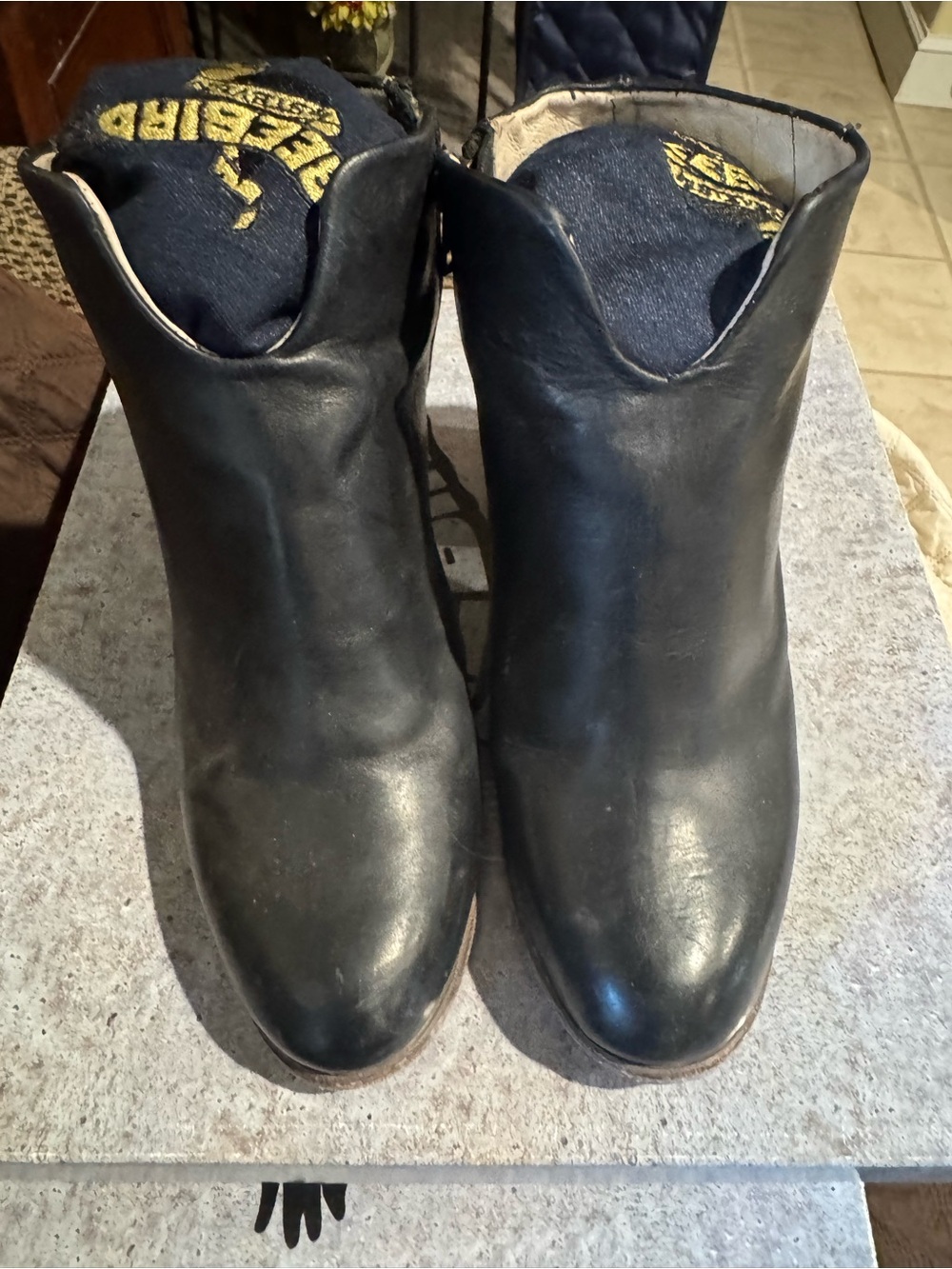Freebird Darius black leather